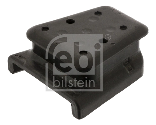Bushing, leaf spring
